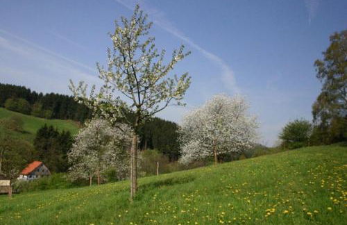 LIVING .... Bungalow mit großem Garten . - Foto 30