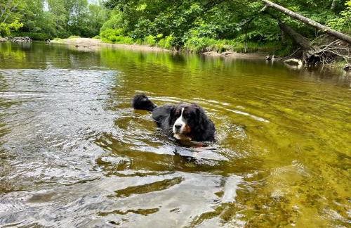 Ski Chalet w-Hot Tub, Only 3 min to Sunday River ski lifts! - Foto 18