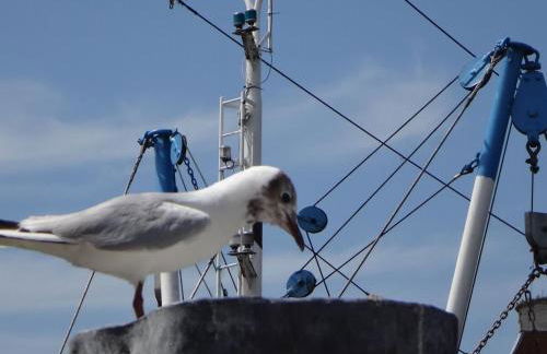 Haus Marie - Foto 26