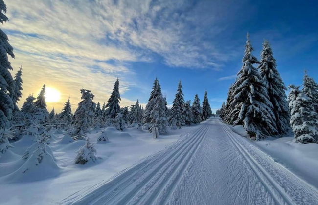 Comfortable Holiday Home With Sauna and Billiards, Near the Slopes - Photo 31