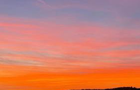 Villa Cocus - Foto 43