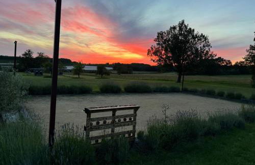 Le Clos des 4 Bastides - Foto 40