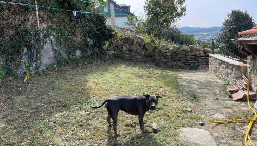 Casa con vistas impresionantes - Foto 5