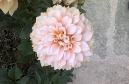 Casa Rural Caseta de l' Hort - Foto 73