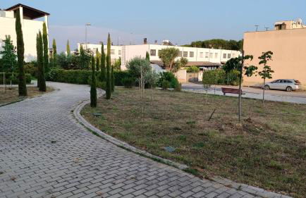 Gigli di Mare - SANTA SEVERA - Foto 41