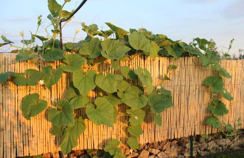 CASADORATA buen retiro vista mare - Foto 5