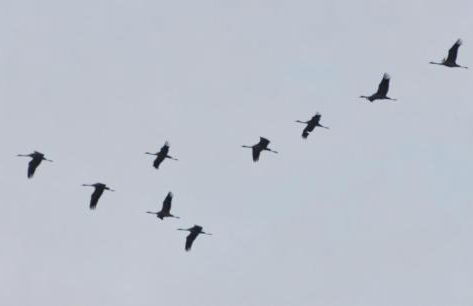 FEWO-Kramm Ostseebad Dierhagen - Foto 2