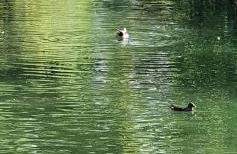 FEWO BEI LEHMANNS - Foto 31