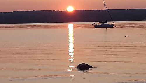 Idyll in Ammerseenähe mit Blick ins Grüne - Foto 3