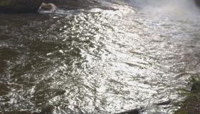 Eistobel und Felderhalde - Foto 4