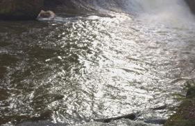 Eistobel und Felderhalde - Foto 4