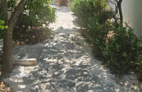 Olive Garden Apartments - Photo 3