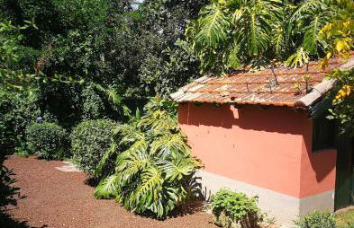 Jardines de Hortensia - Vacation home Tenerife - Foto 35