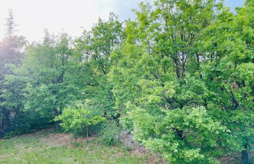 Villa Ylang - climatisée - Foto 19