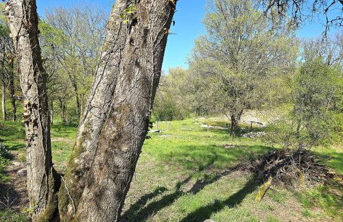 Magnifique ferme rénovée et sa piscine écologique - 15 personnes - 7 chambres - Foto 35