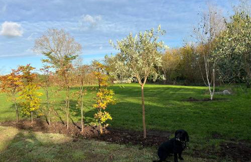 Idyllic secluded hideaway with countryside views on the edge of the Cotswolds - Photo 30