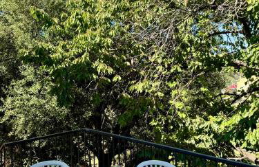 Au coeur du village de Calenzana - Foto 2