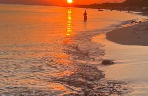 La Conchiglia - Foto 12