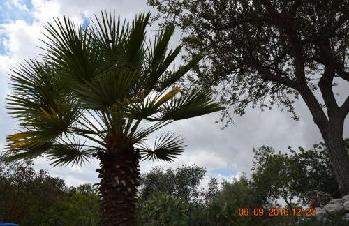 Casa il Carrubbo - Foto 31