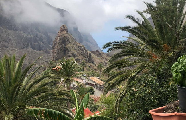 Escursione a Candelaria, La Orotava, Garachico e Masca - Foto 4
