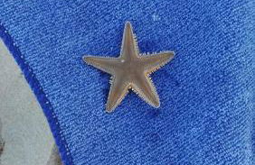 Paoletta Flat - Foto 17