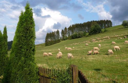 Graceful Apartment with Garden in Velmede near City Center - Foto 37