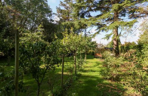 Little Timbers - Foto 30