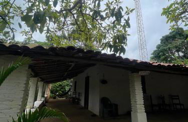 Sítio na Serra de Mulungu - Foto 10