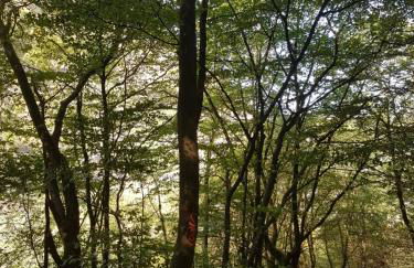 Ferienwohnung Julia - Foto 30