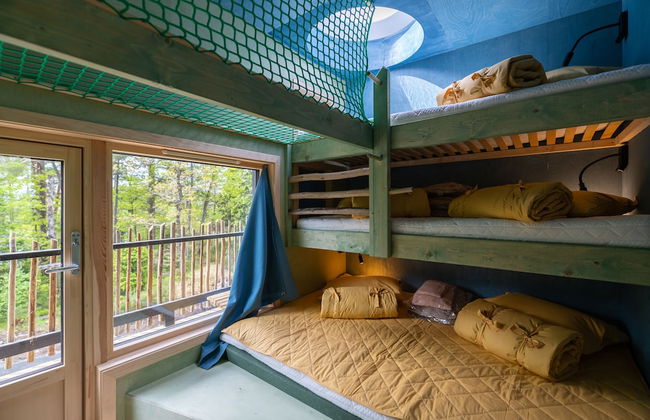 Juliusskogen - Foto 2