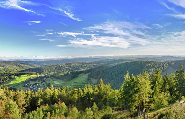 Ferienwohnung mit Talblick in Todtmoos - Photo 33