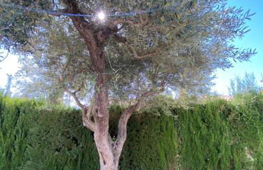 Villa Caramonte, en Costa Dorada - Foto 62