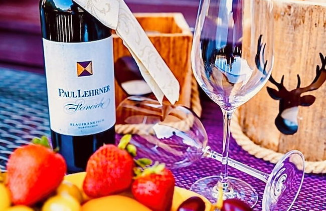 Apartment Hallstatt Dachstein Inn - Foto 6