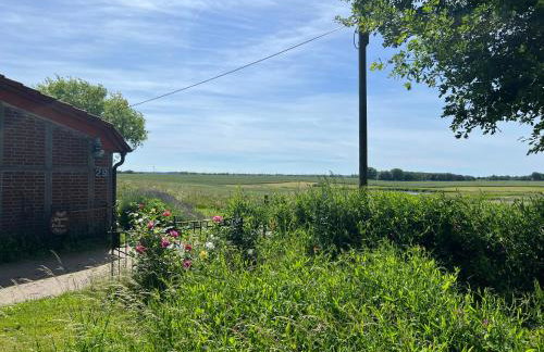 Landhaus Maltzien - Auszeit auf dem Land - Foto 3