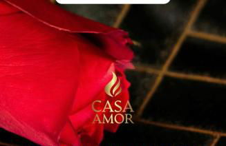 Casa Amor - Kinky Hotel UK - Photo 11