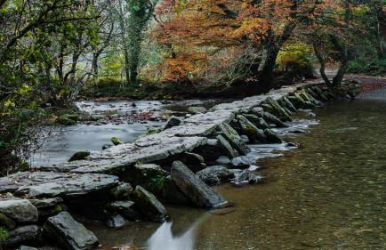 Idyllic countryside cabin with stream and lake - Foto 18
