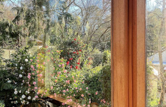 Adelaide Hills Camellia Cottage Wifi - Photo 19