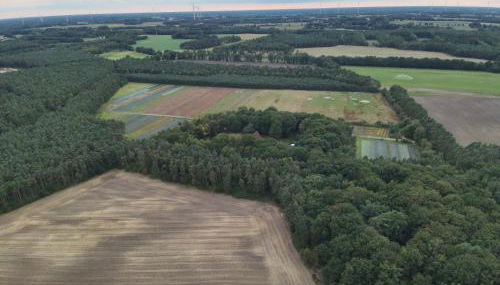 Das Blaue Haus - Foto 2