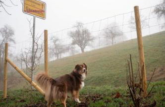 Ferienhaus Gersmühle - Foto 55