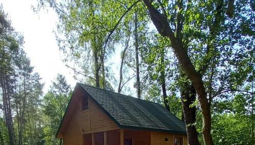 Villa Stare Osieczno - Foto 5