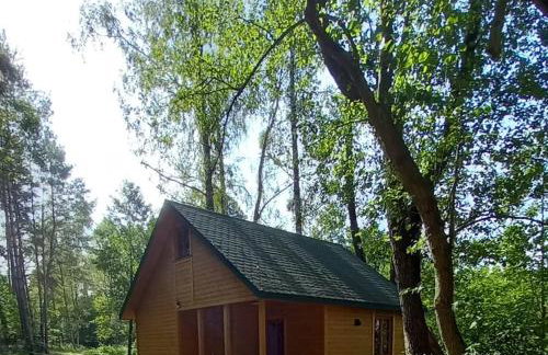 Villa Stare Osieczno - Foto 5