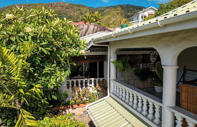 Beau Bamboo - Foto 69