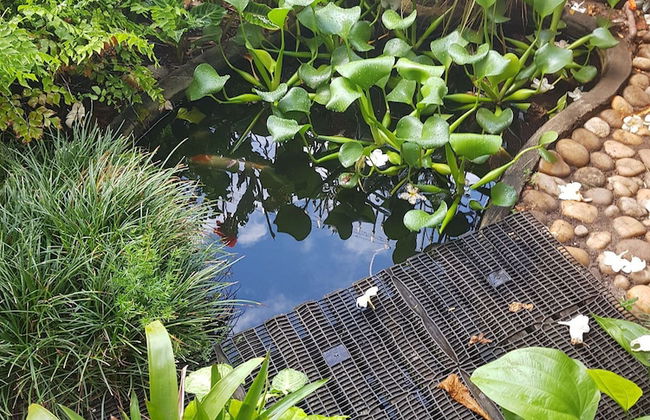 Apart Studios Pontal - Photo 67