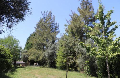 Acquavilla - Foto 66