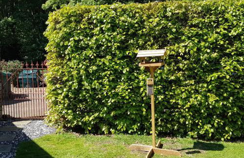 Cloud Cottage - Foto 11