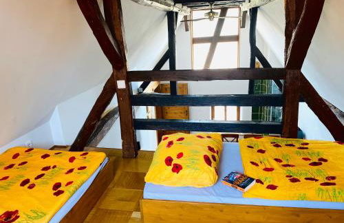 Ferienwohnung der Familie Budzisch - Foto 24