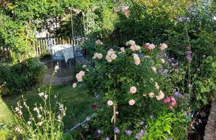 Ferienhaus am Rosengärtle - Black Forest - Forêt Noire - Foto 42