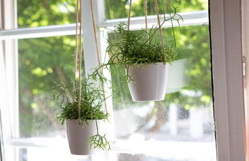 Haus am Stadttor - Foto 40