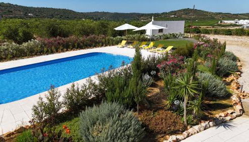 Orange Grove Residence - Foto 5, Garden, sunbed, Garden view