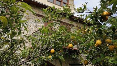 Large Stone Villa with garden. - Foto 5